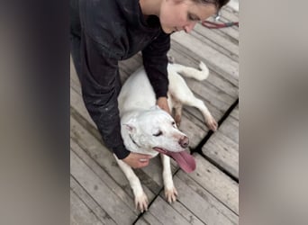 Angel sucht Herzensmenschen