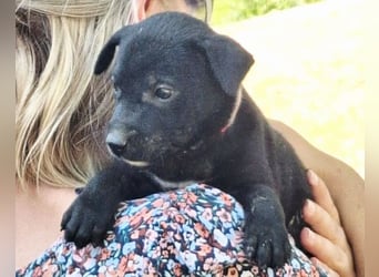 Kleine Luna ❤️ sanft, lieb + so neugierig