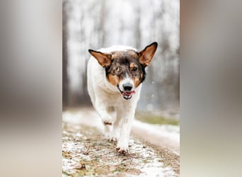 Besondere Agatha sucht ihre Menschen