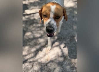 Cooper, hofft auf eine Chance