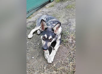 Aktive Tina sucht ihre eigene Familie
