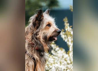 Verschmuste Maya sucht ihre Familie