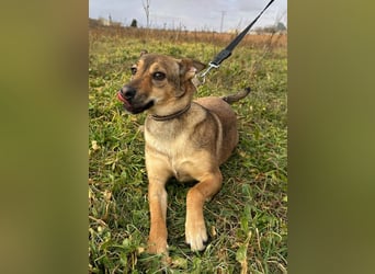 Luci - aus schlechter Haltung