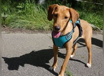 Emma - ein Schatz auf vier Pfoten