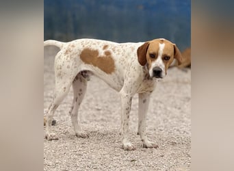 Cooper, hofft auf eine Chance