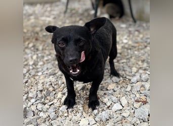 Moxie eine winzige Prinzessin