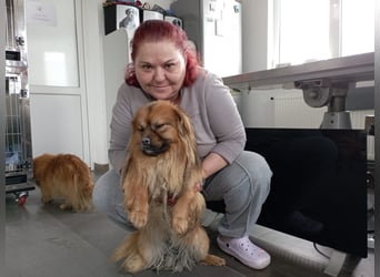 Moritz - sucht seine Familie!