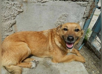 IM SCHNEE FAST ERFROREN ++ HERZENSWÄRME GESUCHT FÜR ZARA