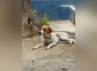 Cooper, hofft auf eine Chance