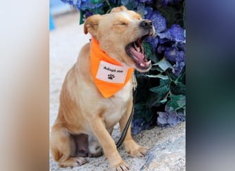 Max & Kika ❤️ liebevolles Zuhause gesucht