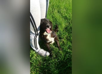 Ellis-NOTFALL -  wenn das Leben andere Wege geht