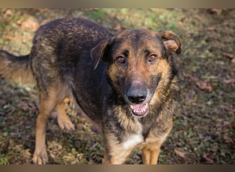 Priya: Schenke mir Liebe!