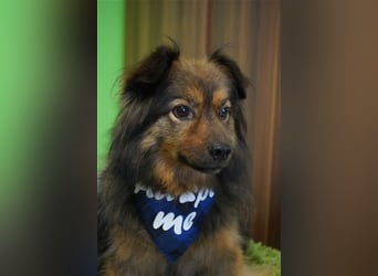 Buddy-SR, möchte dein Freund werden