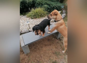 Liza, freundlich und entspannt