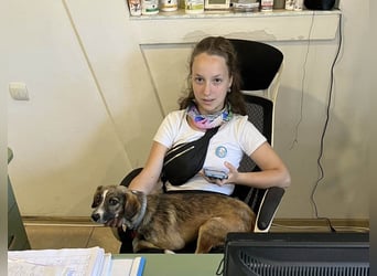 Süße Dale sucht ihr eigenes Zuhause