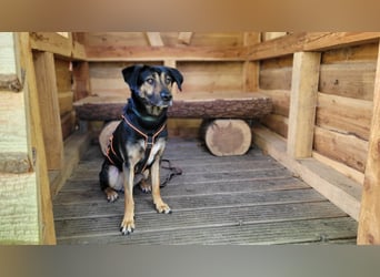 Max - ein echter Hingucker