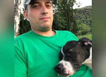 Stella  - glücklich mit Menschen - sagt Nein zur Jagd