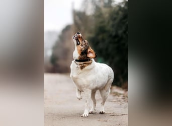 Besondere Agatha sucht ihre Menschen