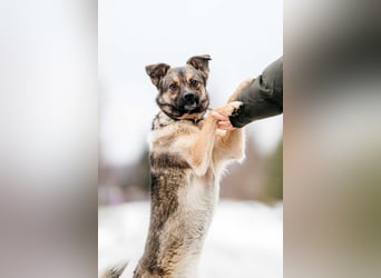 Zärtliche Luna sucht ihre Menschen