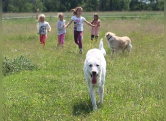 Xavier - Liebling der Kinder