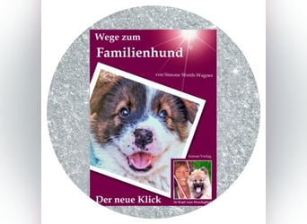 Welpe, Hund, Mischling, Rasse - Erziehung zum Familienhund - einfach gemacht