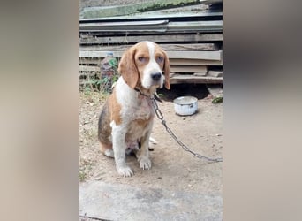 MATHILDA - unter keinem guten Stern geboren!