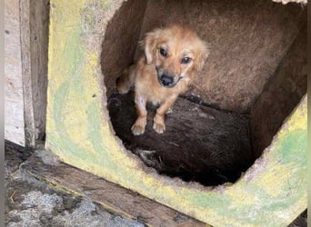 LOTTI 2 wartet auf Rettung