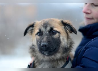 Hübsche HOLLI möchte eine Familie haben
