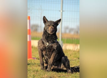 Ninja-PP, unsicherer Schönling sucht sicheren Hafen!