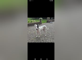 Ronja freut sich auf Deinen Besuch