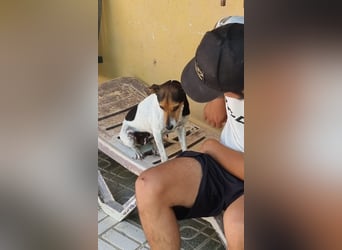 KIKA