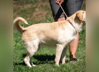 Quita