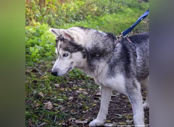 Cher - isoliert im dunklen, nun auf der Suche nach ihren Menschen