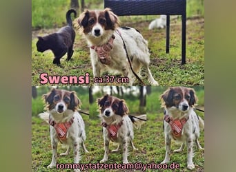 Swensi freut sich auf spannende Ausflüge