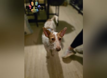 Lilo, einfach zum verlieben