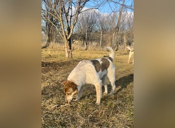 Aufgeschlossene Freya sucht liebe Familie