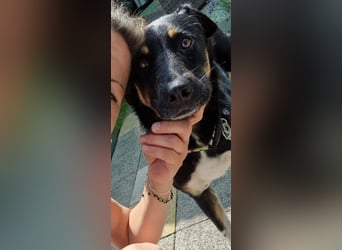 Jerry ist mein Name – und warte in PLZ 69509 auf Besuch von DIR