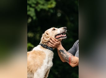 Aktiver Richard sucht seine Menschen