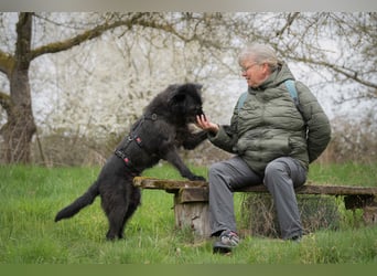 Lotte, geb. 2020, nette Dame sucht Begleitung
