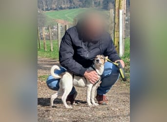 Süße Zaubermaus Sunny sucht ihr Zuhause