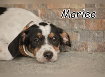 Haben Sie Lust mit Marieo die Welt zu entdecken?