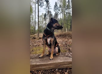 Max - ein echter Hingucker