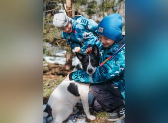 Die kleine Heidi sucht ein Zuhause