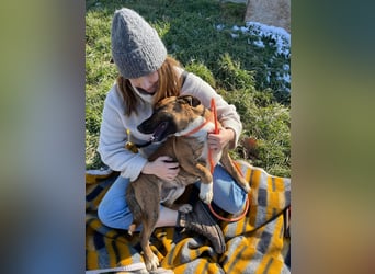 Erszi, Knutschkugel möchte gerne Kuscheln