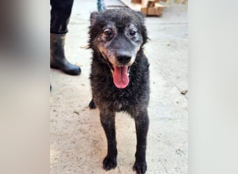 OldBoy ♥Billy♥ Senior sucht Treue+Liebe