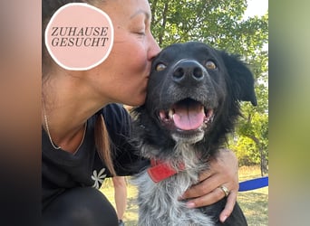 Süßfratz Bruno sucht sein Zuhause ❤️