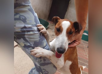 Chester