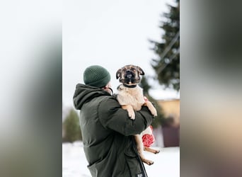 Zärtliche Luna sucht ihre Menschen