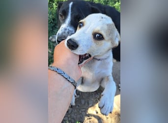 Kleine Nadja ( * 03 / 2025 ) sucht ihre Familie