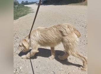 Moxy ein verlorener Schatz